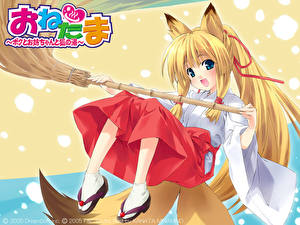 Фотографии Kitsune