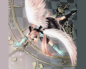 Фотографии Kawaku