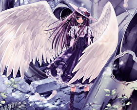 Фотографии Kawaku