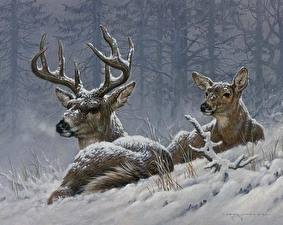 Картинки Олени Зимние Снега Животные