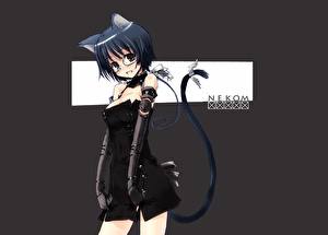 Фотографии Neko Girls
