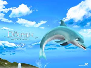 Фотографии Дельфин: История мечтателя прыжок над водой