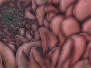 Фотография Berserk Slan Аниме