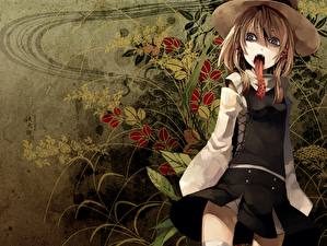 Фотография Touhou Collection Язычок