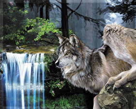 Картинки Волшебные животные Волк Вервольф Фэнтези