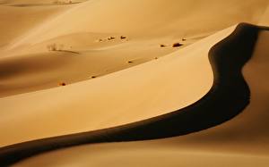 Фотография Пустыня Природа