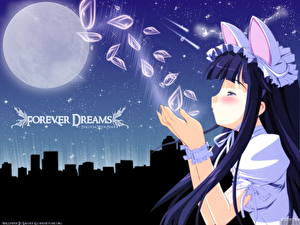 Обои Tsukuyomi: Moon Phase