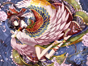 Фото Touhou Collection