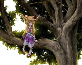 Картинка Touhou Collection