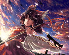 Картинка Touhou Collection