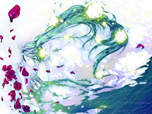 Картинки Вокалоид Аниме