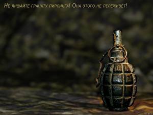 Обои Граната Юмор