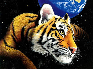 Обои Большие кошки Тигры Рисованные Животные