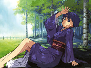 Фото Ai Yori Aoshi