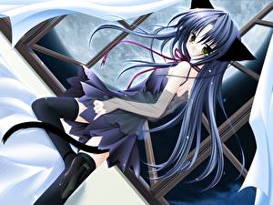 Обои для рабочего стола Девочки Кошки Аниме