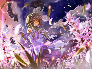 Фото Touhou Collection