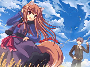 Обои Spice and Wolf