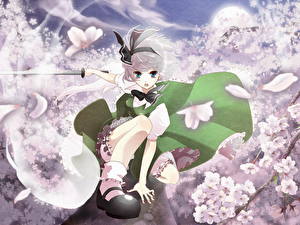 Фотография Touhou Collection