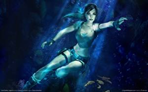 Фотографии Tomb Raider Tomb Raider Legend Лара Крофт Игры