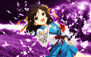 Обои The Melancholy of Haruhi Suzumiya