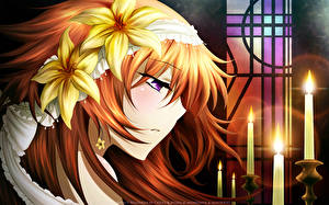 Фото Pandora Hearts