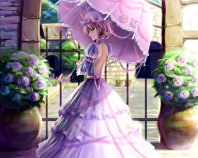 Фото Touhou Collection Аниме