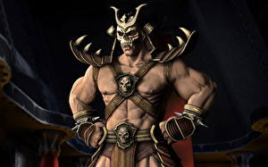 Фото Mortal Kombat Shao Kahn компьютерная игра