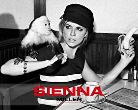 Картинки Sienna Miller