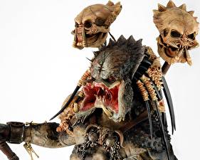 Обои Хищник