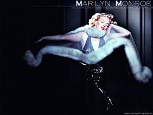 Фотография Marilyn Monroe