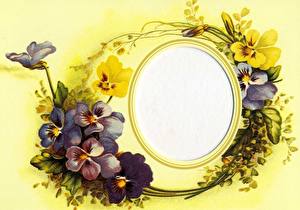 Фотографии Фиалка трёхцветная