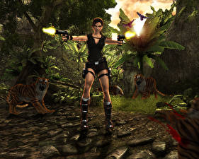 Фото Tomb Raider