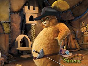 Фотография Шрэк