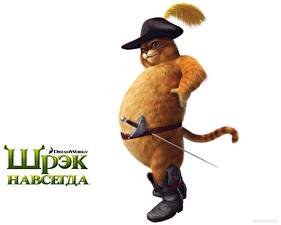 Фото Шрэк Мультики