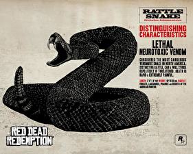 Фото Red Dead Redemption