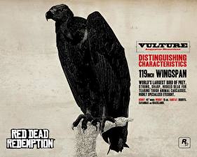 Картинка Red Dead Redemption