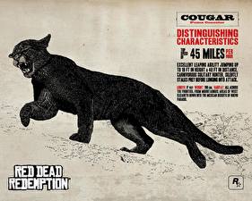 Обои Red Dead Redemption