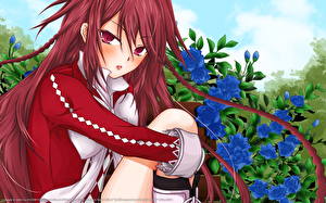 Картинки Сердца Пандоры Аниме