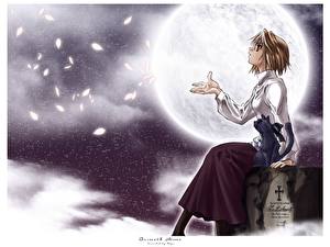 Фото Shingetsutan Tsukihime