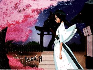 Картинка Bleach: Memories of Nobody