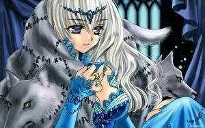 Картинки Kawaku