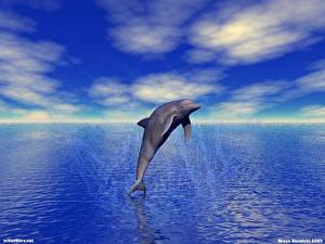 Картинки Дельфины