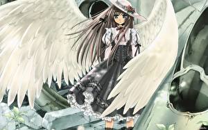 Обои для рабочего стола Kawaku Аниме