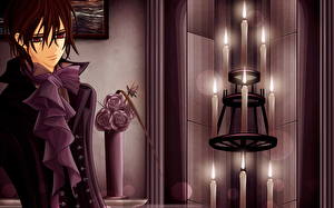 Картинка Vampire Knight Аниме