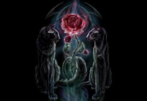 Картинки Волшебные животные Anne Stokes Фантастика