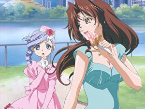 Обои Kiddy Grade