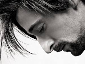 Картинки Эдриан Броуди