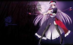 Картинка Touhou Collection