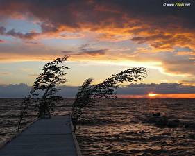 Фото Берег Пирсы Природа