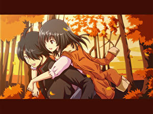 Картинки Bakemonogatari Аниме